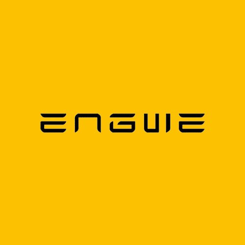 2025 ENGWE HOT PICKS electric bikes