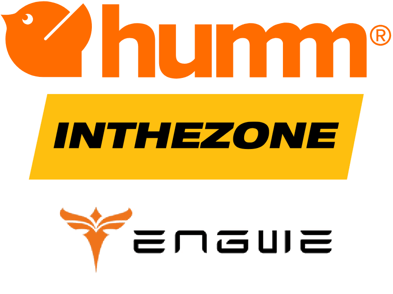 Engwe vs Samebike electric bike comparison