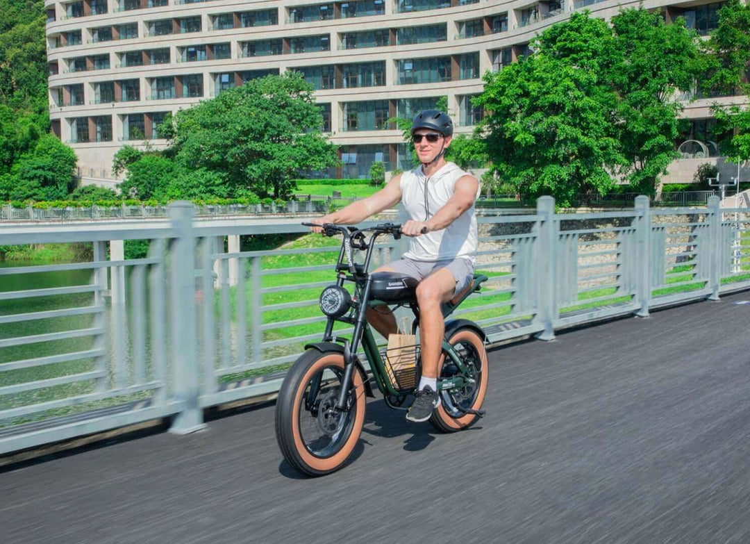 SAMEBIKE M20 A motorcycle-style lifestyle machine - InTheZone E-Mobility 