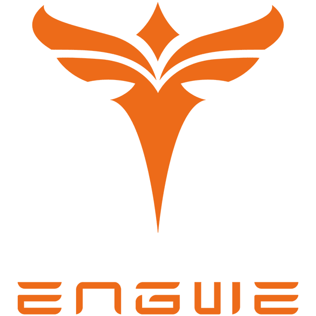 Comprehensive Guide to Engwe Electric Bikes: Features, Models, and Benefits - InTheZone E-Mobility 