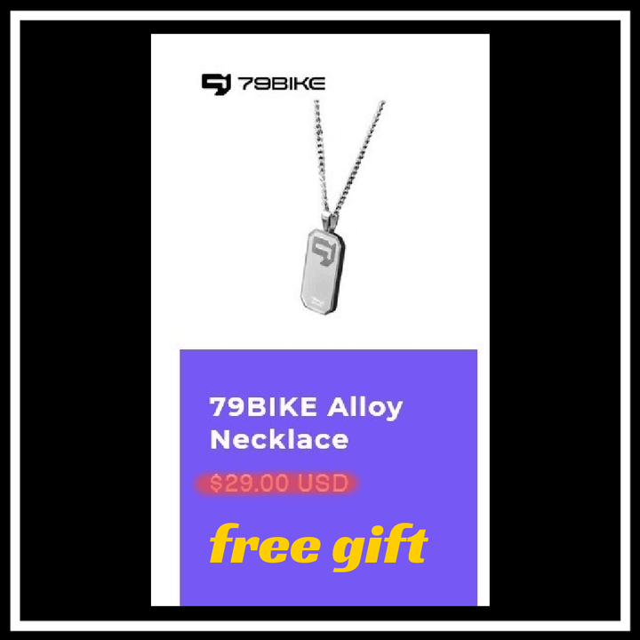 79BIKE Alloy Necklace displayed with a price of $29.00 USD and a free gift label.