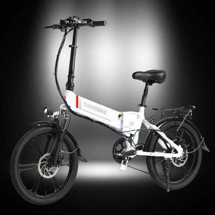 SAMEBIKE 20LVXD30-II