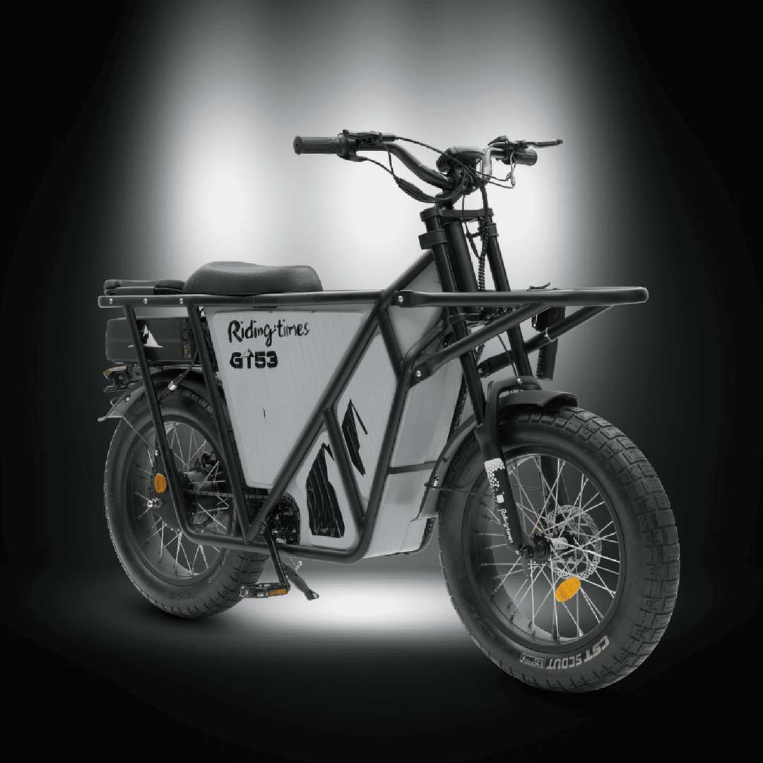 [🇮🇪🇪🇺🇺🇸] GT53 2000W CARGO RIDING' TIMES E-BIKE