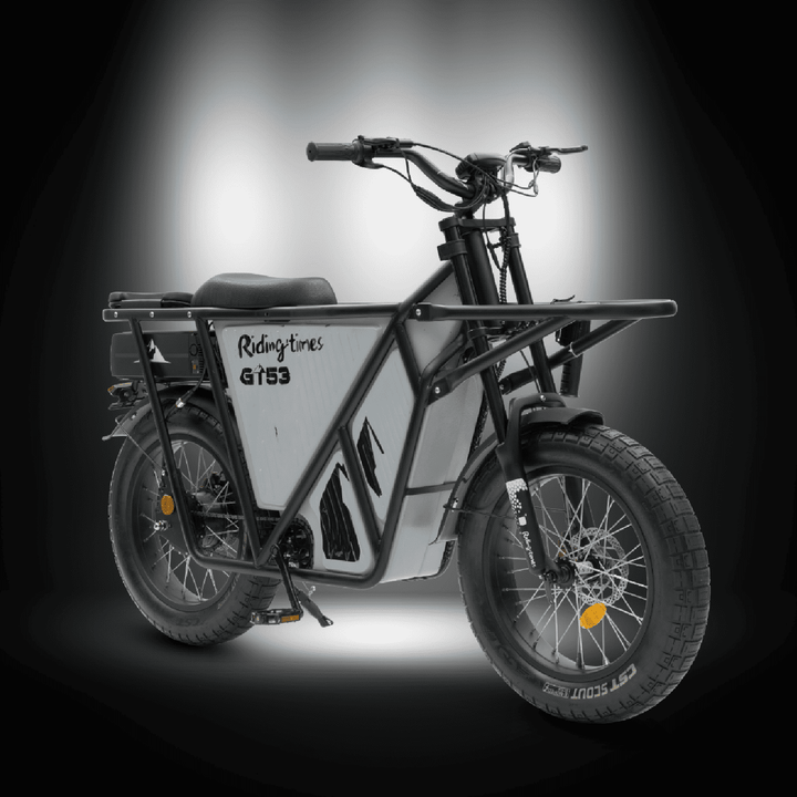 [🇮🇪🇪🇺🇺🇸] GT53 2000W CARGO RIDING' TIMES E-BIKE