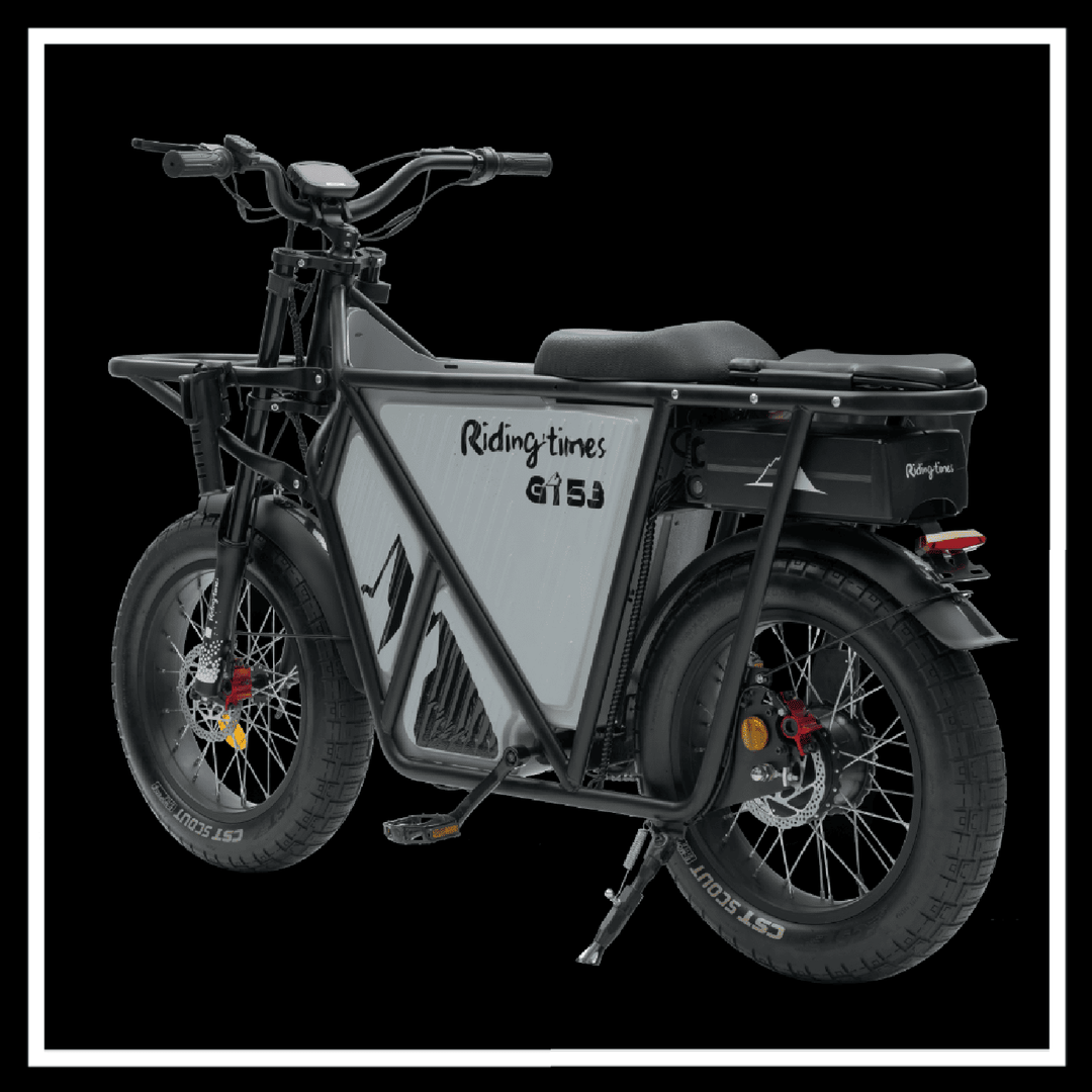 [🇮🇪🇪🇺🇺🇸] GT53 2000W CARGO RIDING' TIMES E-BIKE