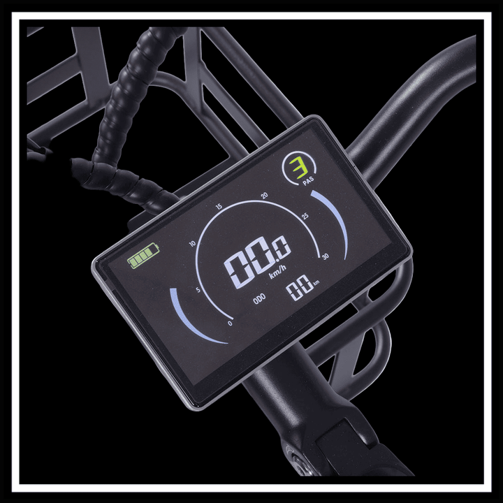 GOGOBEST GF200 FOOD-DELIVERY CARGO E-BIKE