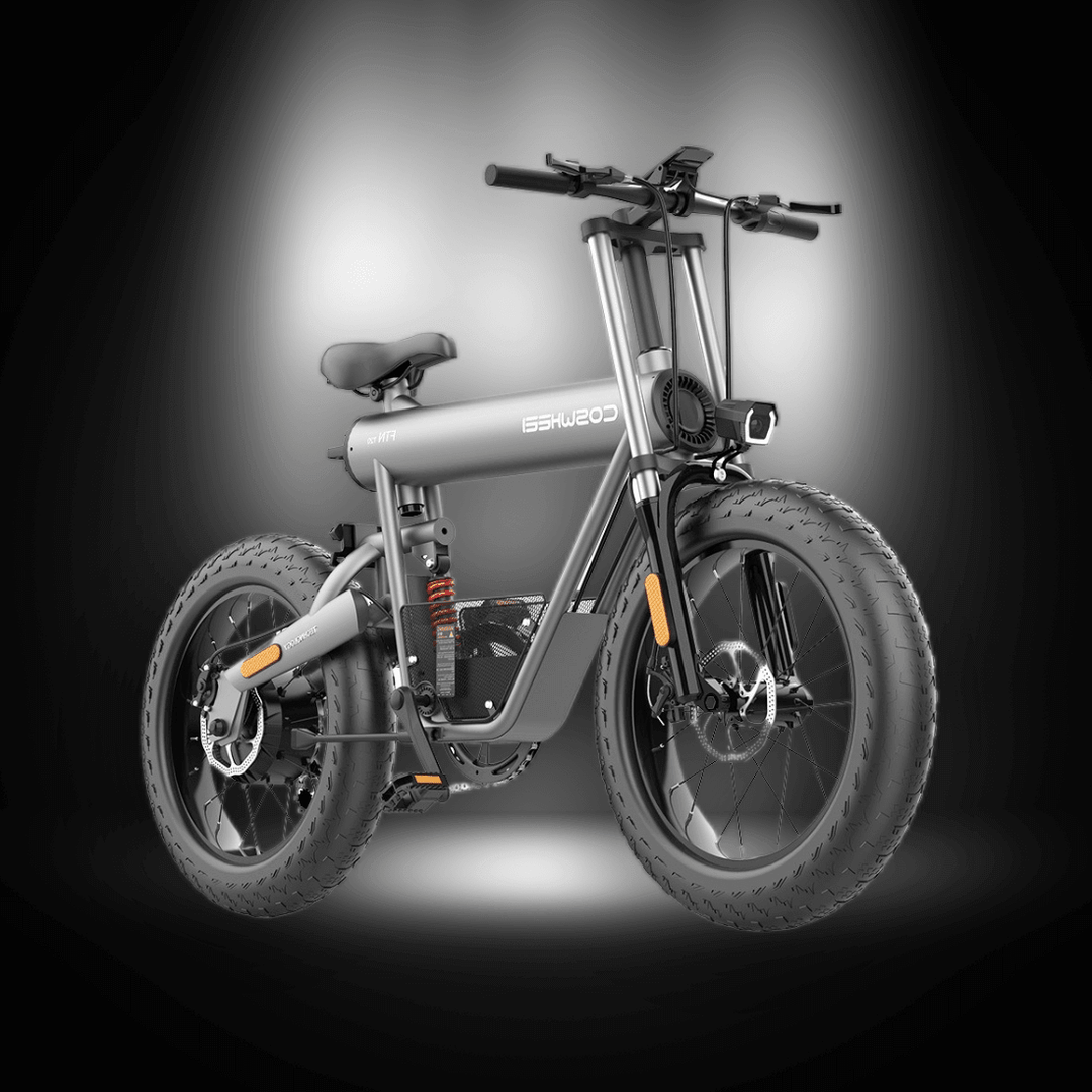 🇮🇪🇪🇺 COSWHEEL T20 - InTheZone E - Mobility