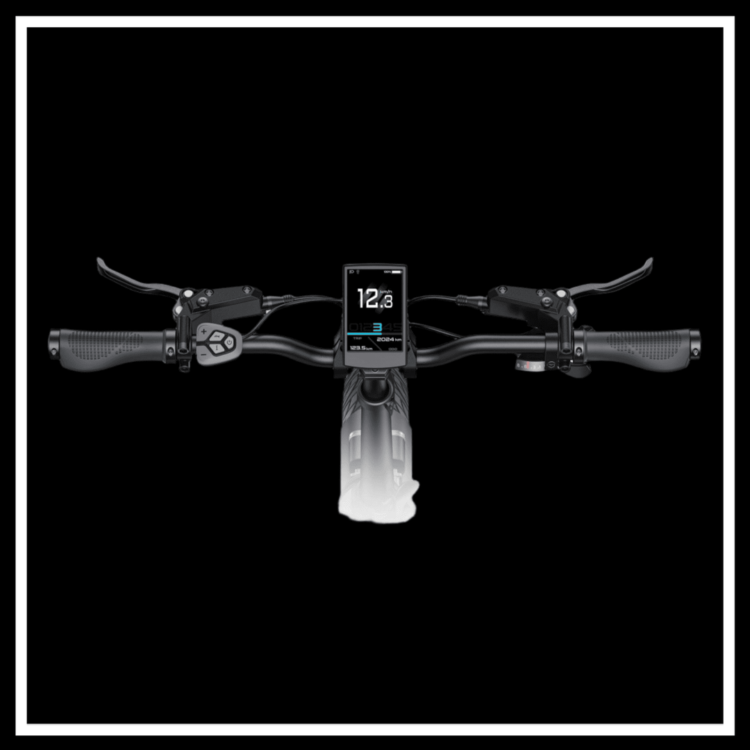 ENGWE L20 3.0 BOOST ELECTRIC BIKE handlebar display with speed and battery indicators.
