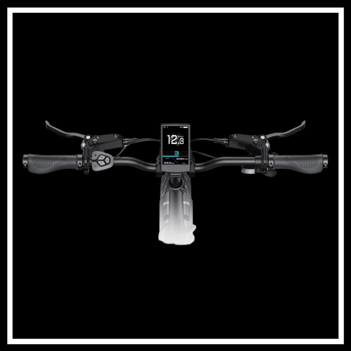 ENGWE L20 3.0 BOOST ELECTRIC BIKE handlebar display with speed and battery indicators.