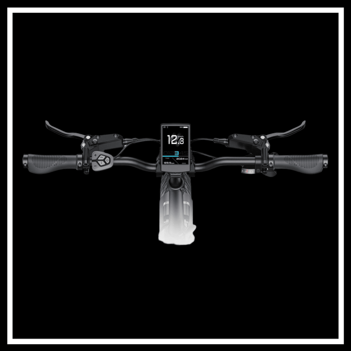 ENGWE L20 3.0 PRO handlebars with smart LCD display and pedal assist features.