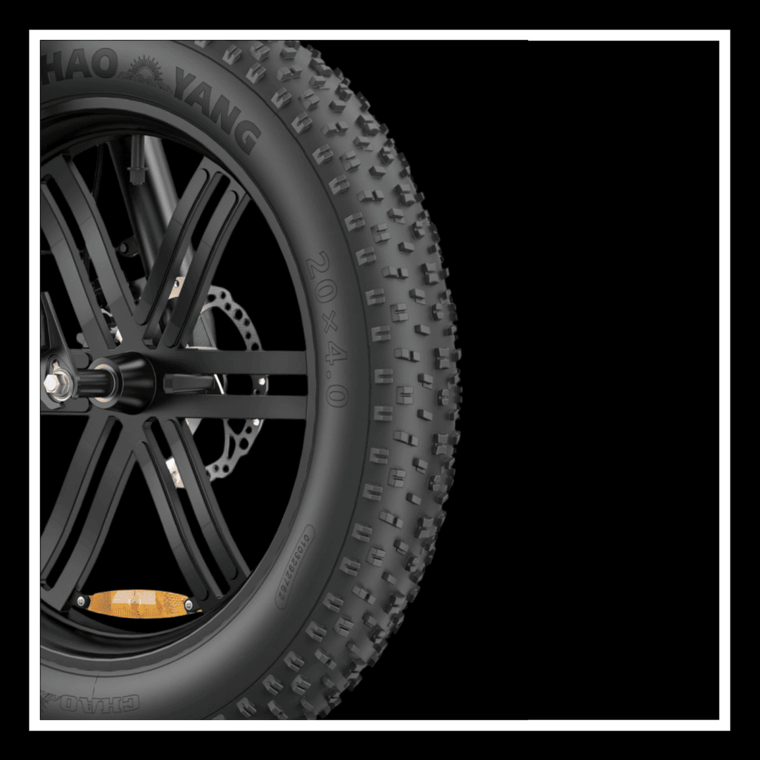 ENGWE L20 BOOST 20 x 4.0 fat tire showing stability and traction for electric bike rides