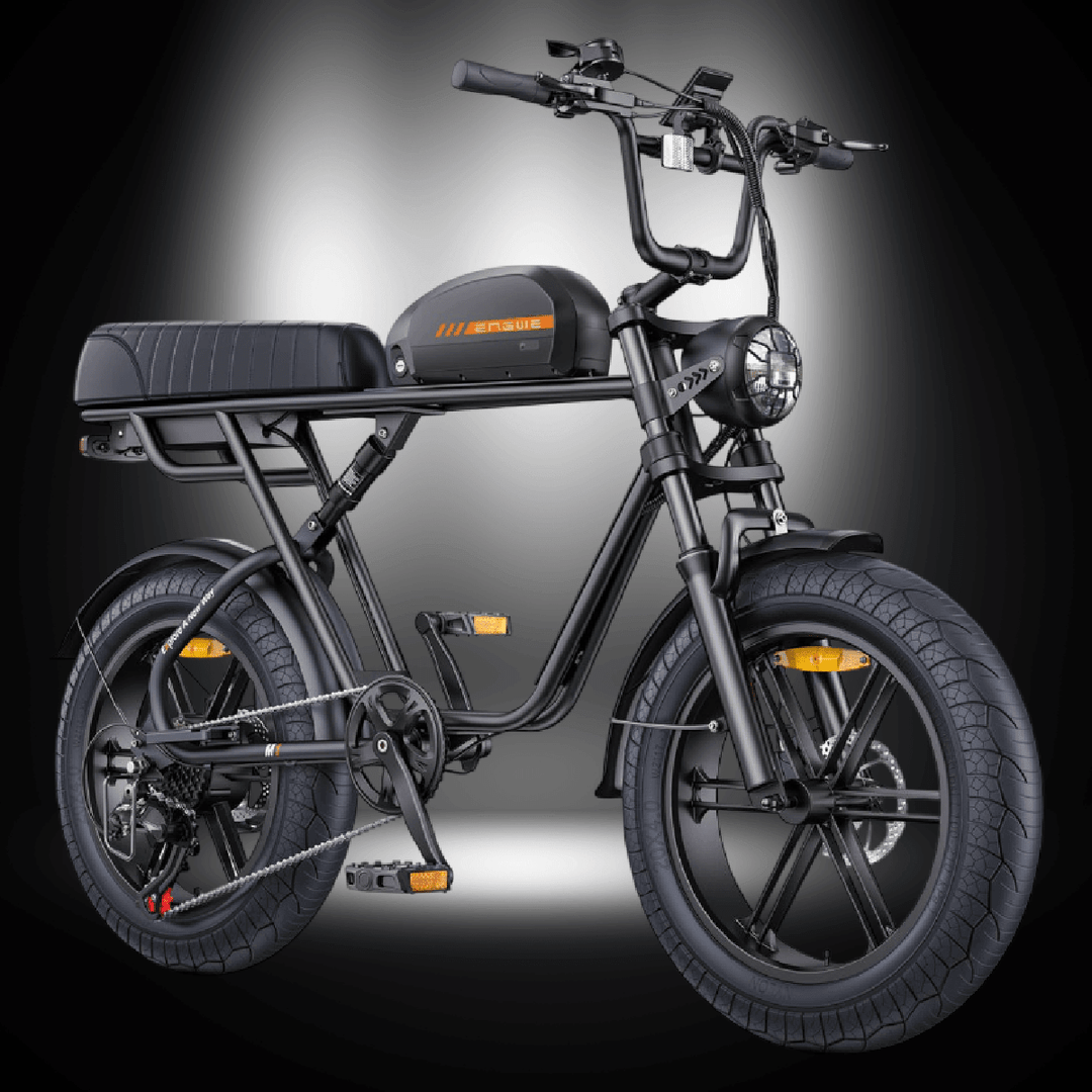 Engwe M1 electric bike featuring dual passenger capabilities and fat tires for urban and adventure riding.