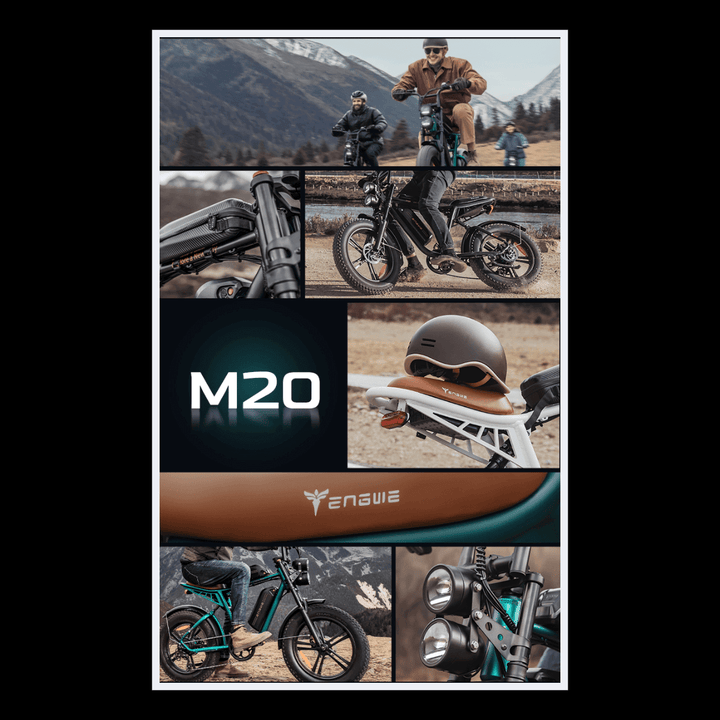 🇮🇪🇬🇧🇪🇺 ENGWE M20 - InTheZone E - Mobility