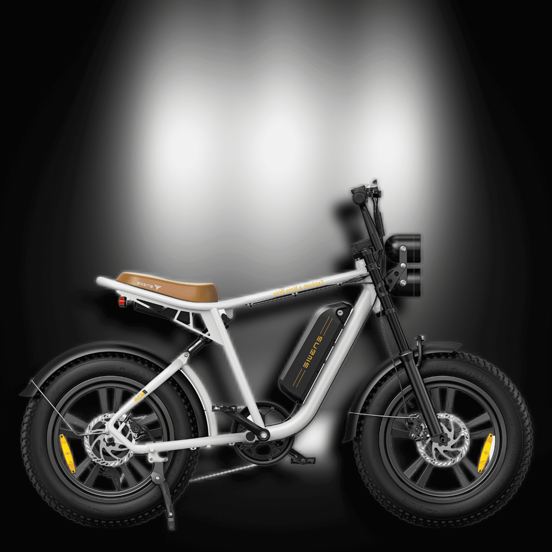 🇮🇪🇬🇧🇪🇺 ENGWE M20 - InTheZone E - Mobility