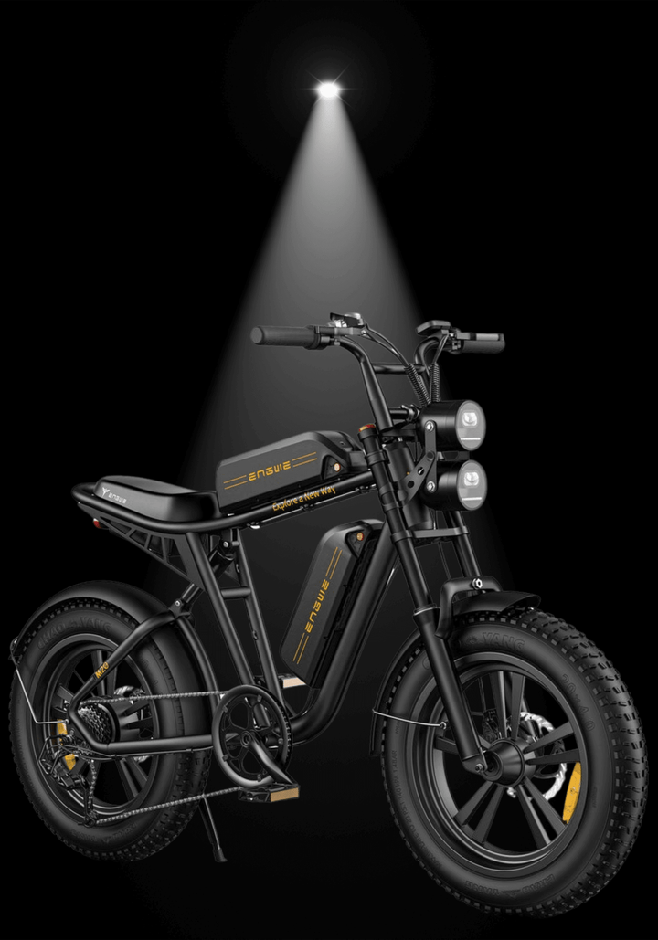 🇮🇪🇬🇧🇪🇺 ENGWE M20 - InTheZone E - Mobility