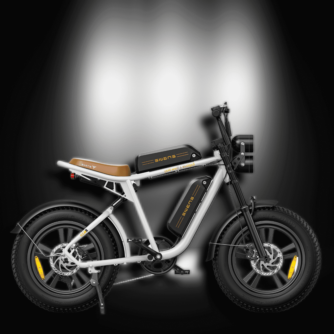 🇮🇪🇬🇧🇪🇺 ENGWE M20 - InTheZone E - Mobility