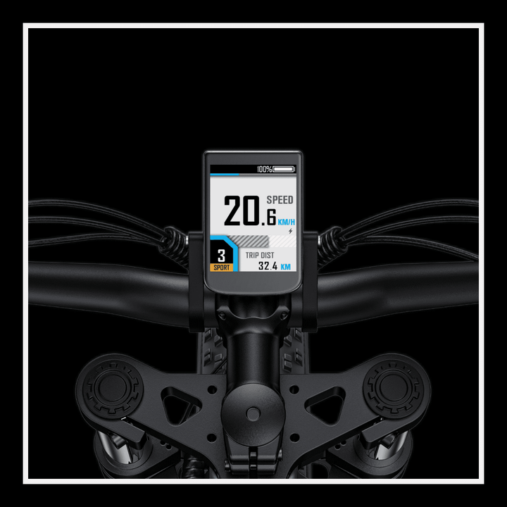 🇮🇪🇬🇧🇪🇺 ENGWE X24 - InTheZone E - Mobility