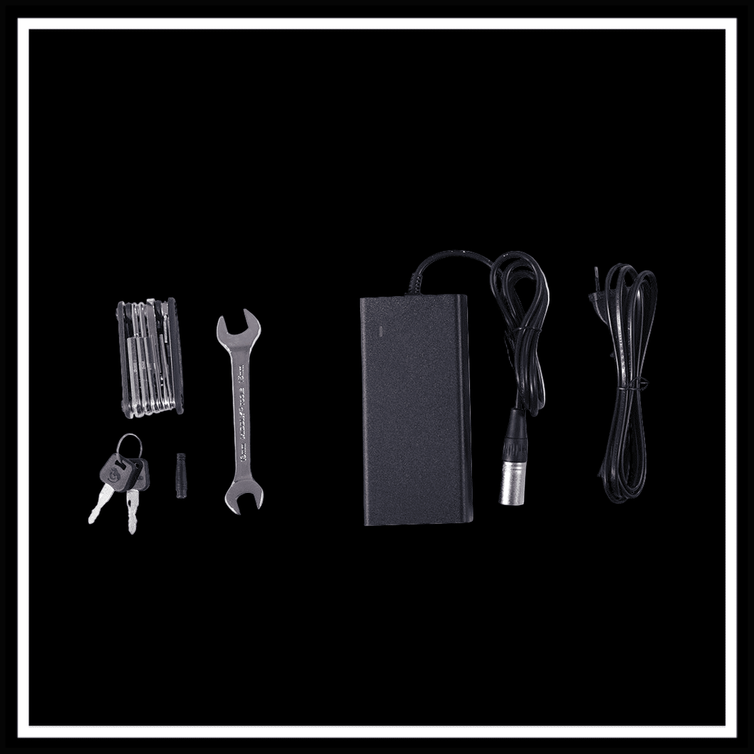 Accessories for ELECTRIC CARGO BIKE GOGOBEST GF200, including charger, tools, and keys.