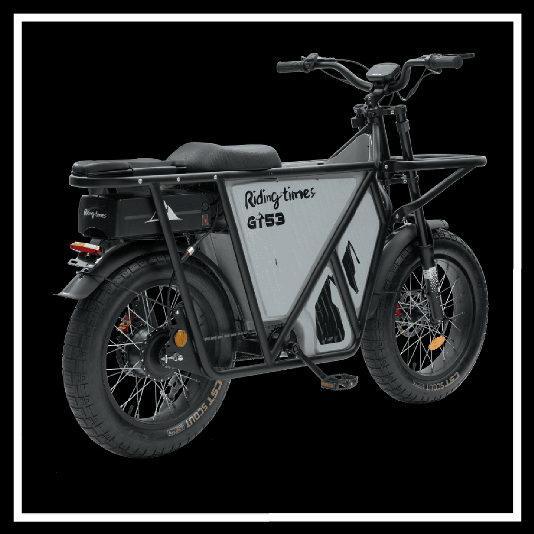 🇮🇪🇪🇺🇺🇸 GT53 2000W CARGO RIDING' TIMES E-BIKE rear view with cargo space and robust design.