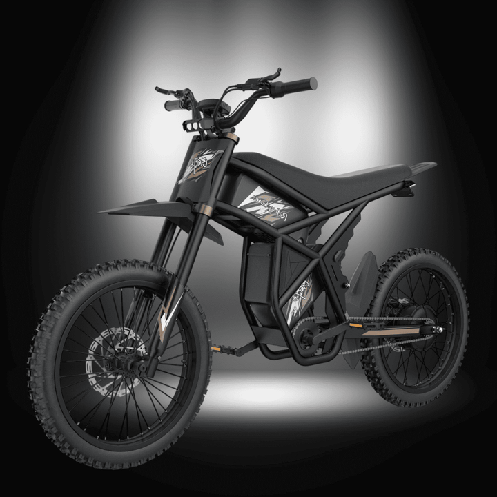 🇮🇪🇪🇺🇺🇸 GT73PRO 3000W RIDING' TIMES DIRT E-BIKE showcasing powerful design and rugged features.