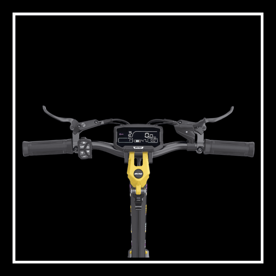 iENYRID ES60 electric scooter handlebar with display and controls