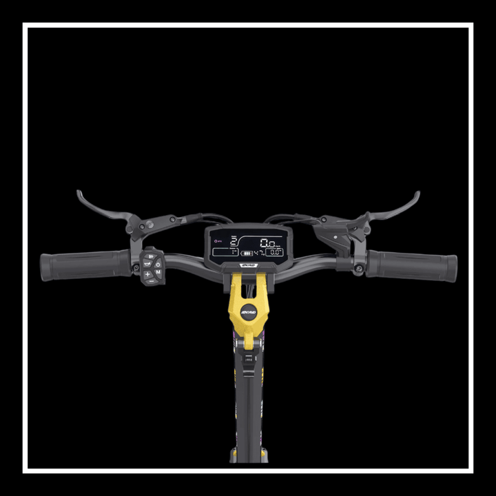 iENYRID ES60 electric scooter handlebar with display and controls