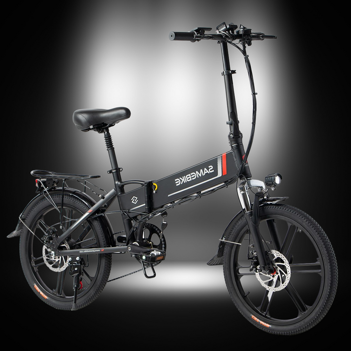 SAMEBIKE 20LVXD30-II