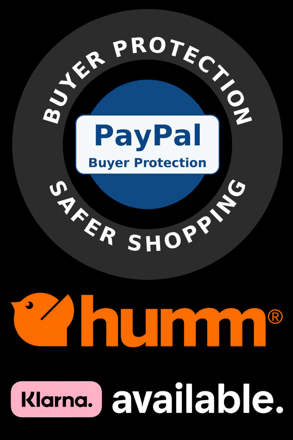 logo represent payment options for the online store Inthezone Electric Mobility