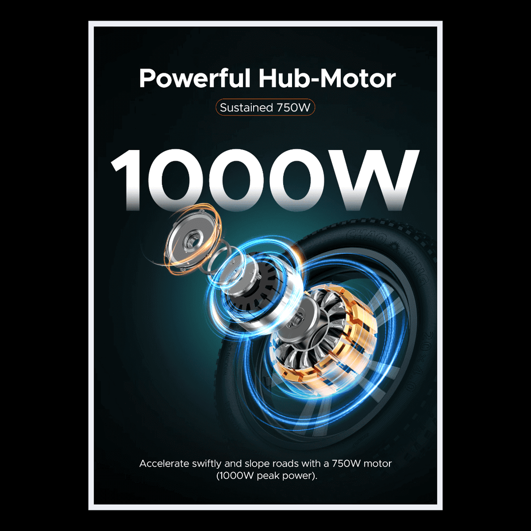 🇮🇪🇬🇧🇪🇺 ENGWE M20 - InTheZone E - Mobility