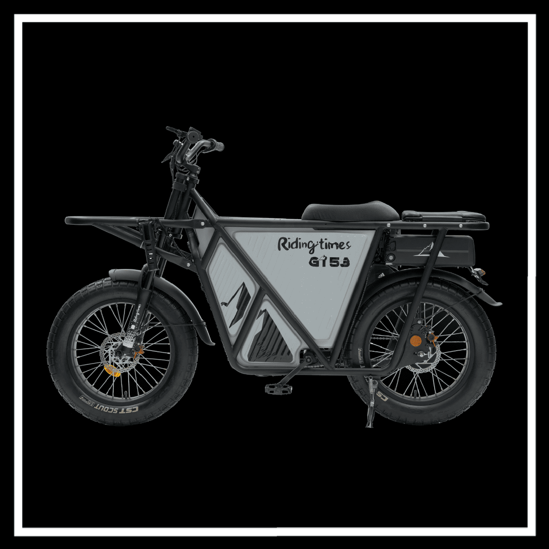 🇮🇪🇪🇺🇺🇸 GT53 2000W CARGO RIDING' TIMES E-BIKE side view on a black background