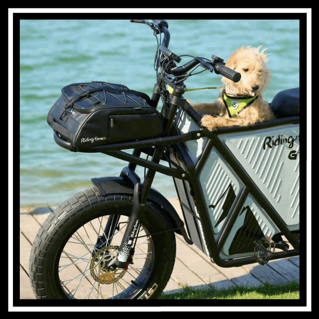 GT53 2000W CARGO RIDING' TIMES E-BIKE with a dog in the cargo area by the water.