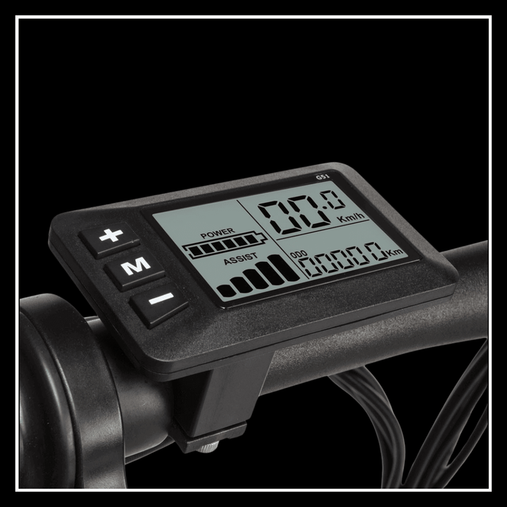 Display of the SAMEBIKE 20LVXD30-II electric bike showing speed, power, and assist settings.