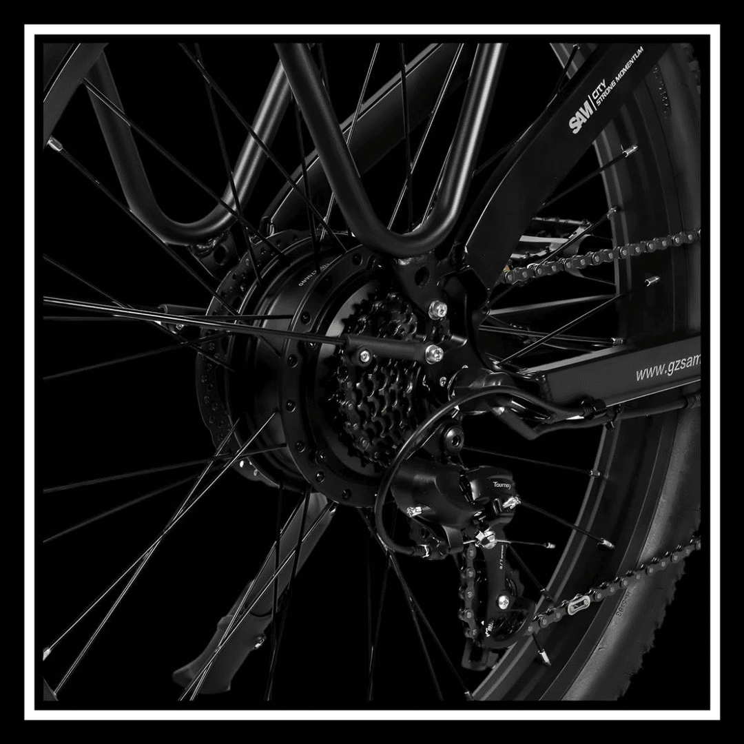 Close-up of SAMEBIKE RS-A01 PLUS electric bike rear hub motor and wheel spokes.