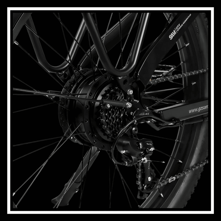 Close-up of SAMEBIKE RS-A01 PLUS electric bike rear hub motor and wheel spokes.