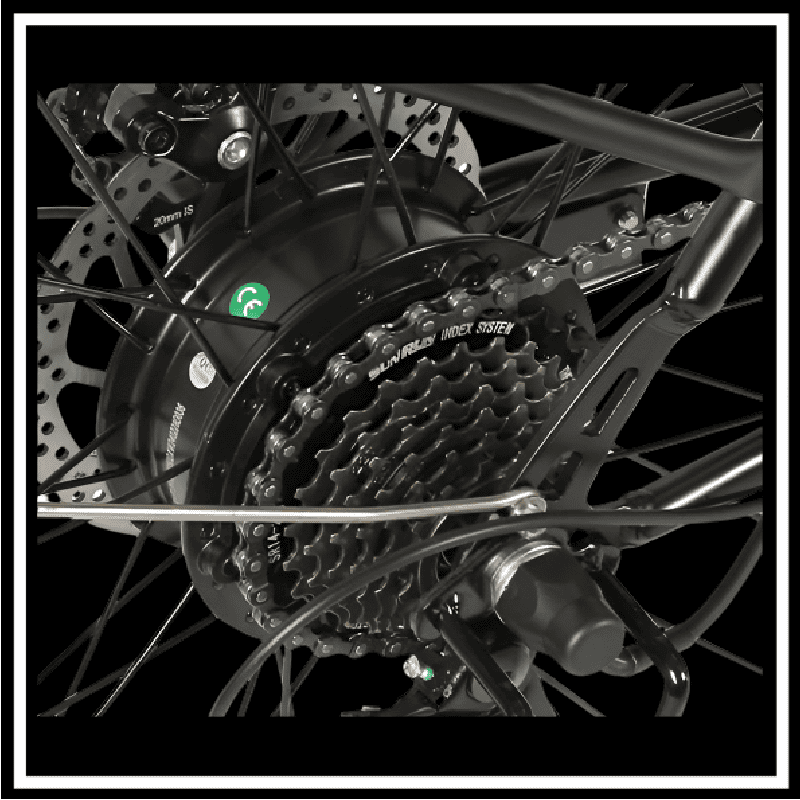 Rear hub motor and gear system of the 🇮🇪🇪🇺 SAMEBIKE TDE10Z electric bike.