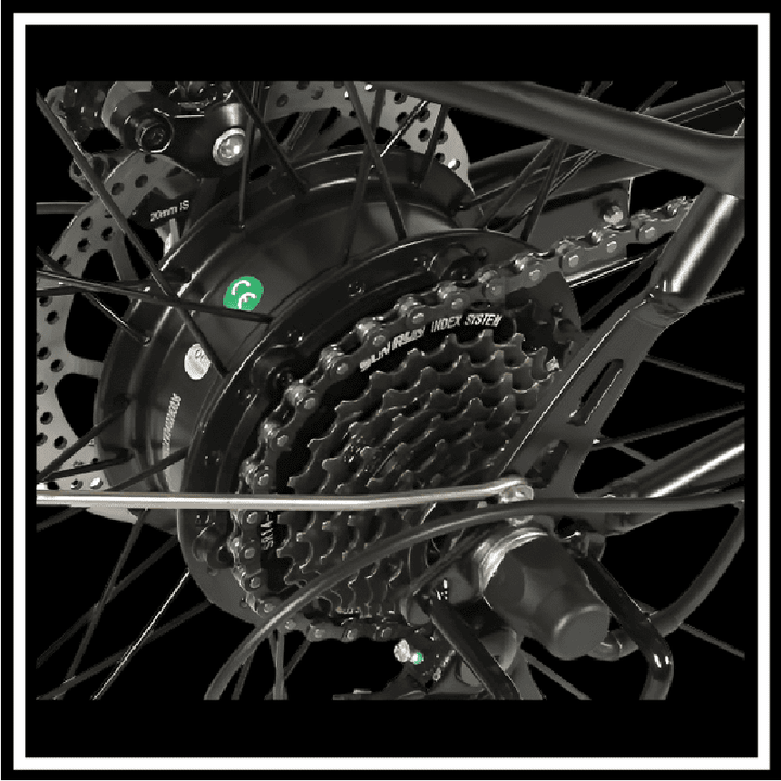 Rear hub motor and gear system of the 🇮🇪🇪🇺 SAMEBIKE TDE10Z electric bike.
