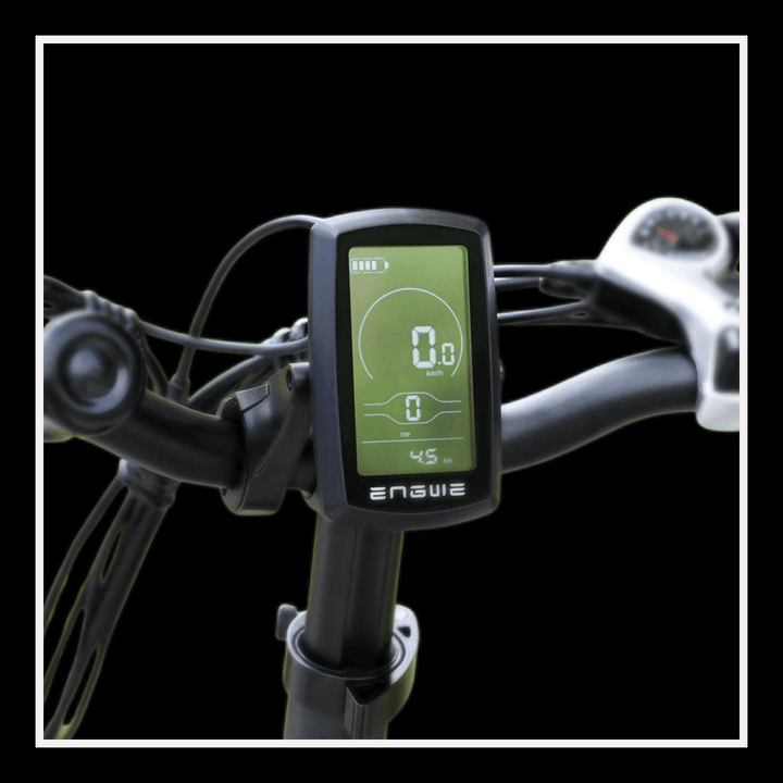 🇮🇪🇬🇧🇪🇺 ENGWE ENGINE X - InTheZone E - Mobility