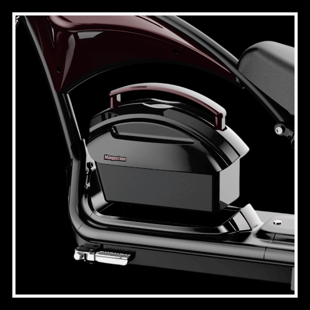 🇮🇪🇪🇺 INTHEZONE M1PS 4000W - InTheZone E - Mobility