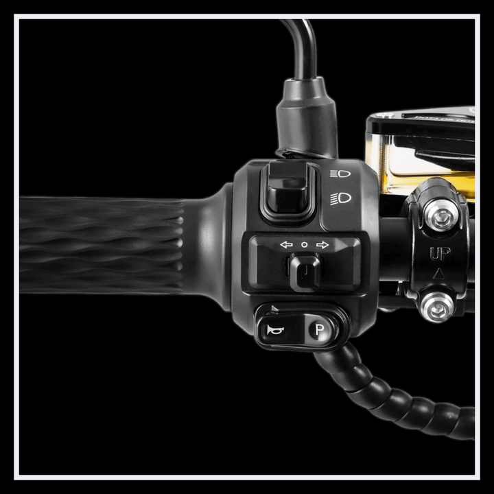 🇮🇪🇪🇺 INTHEZONE M8S 4000W - InTheZone E - Mobility