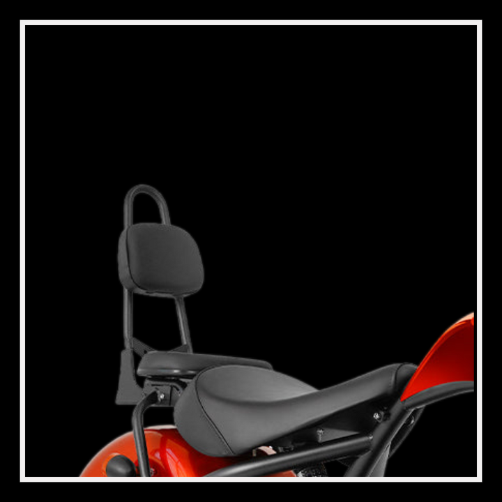 EAHORA M1 TWO-SEAT [US DIRECT]